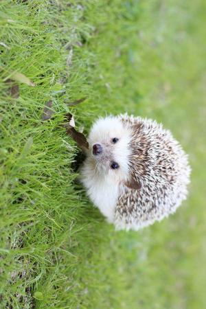 キャンプ場画像