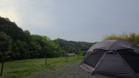 キャンプ場画像