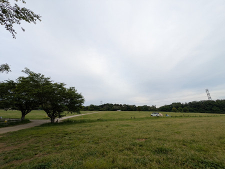 キャンプ場画像