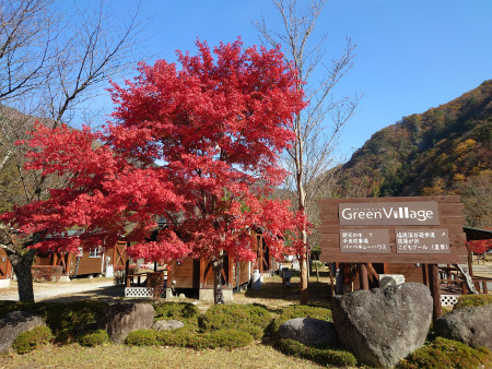 キャンプ場画像