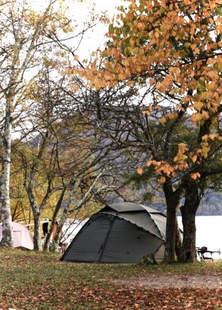 キャンプ場画像