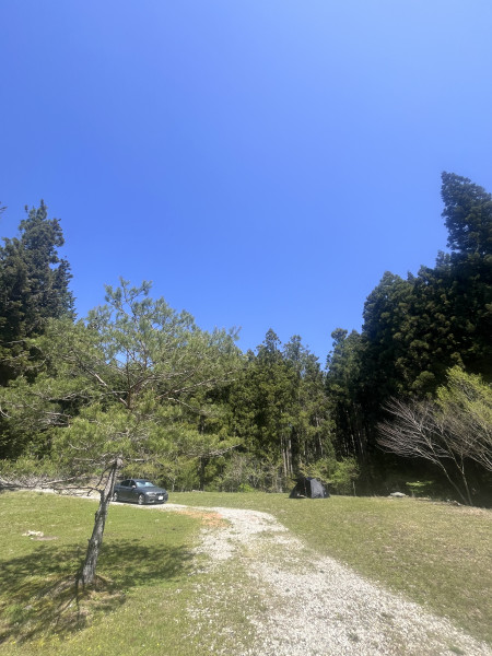キャンプ場画像