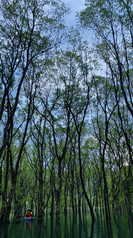 キャンプ場画像