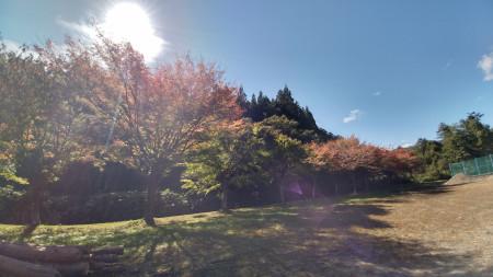 キャンプ場画像