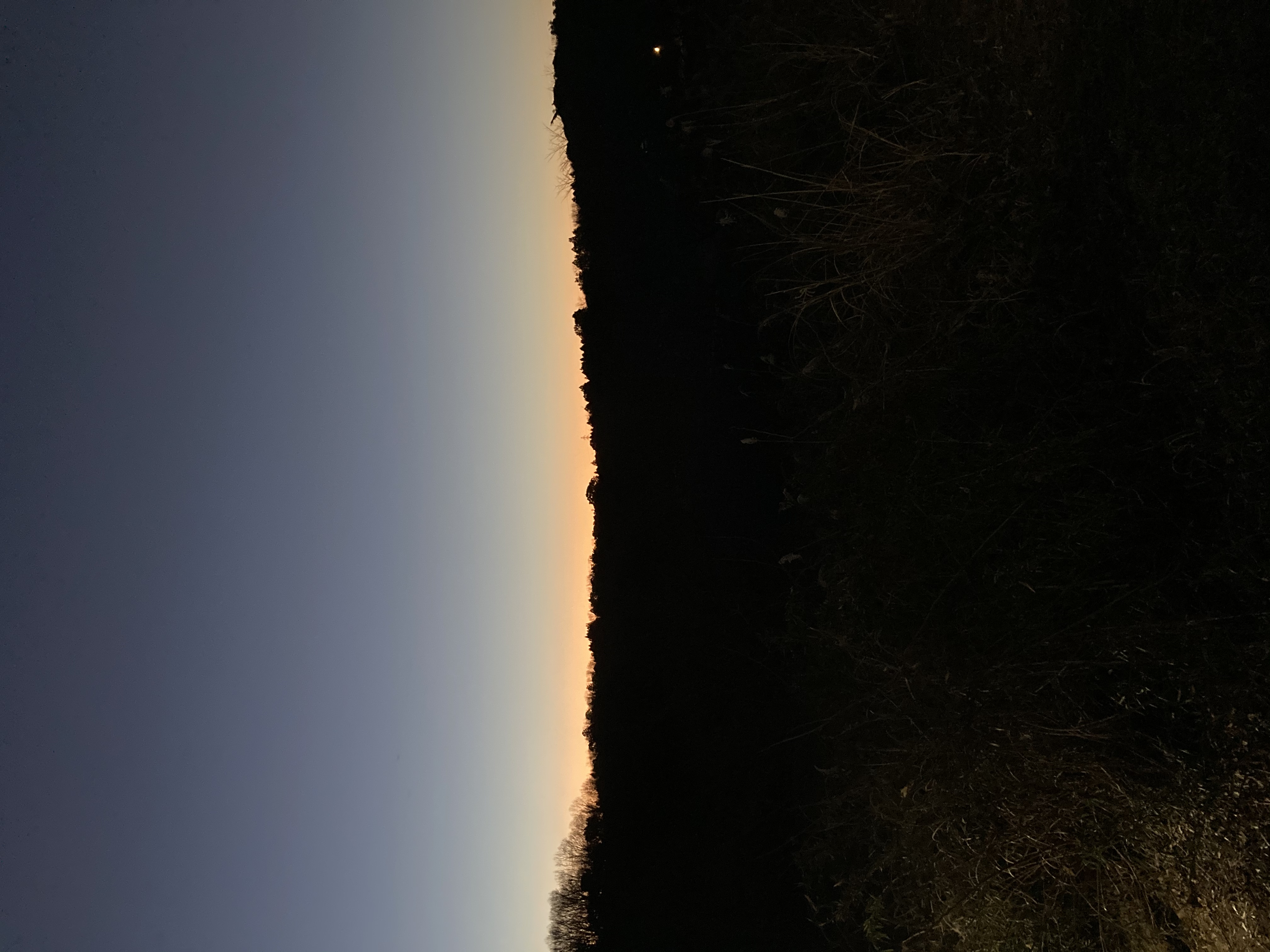 背景画像