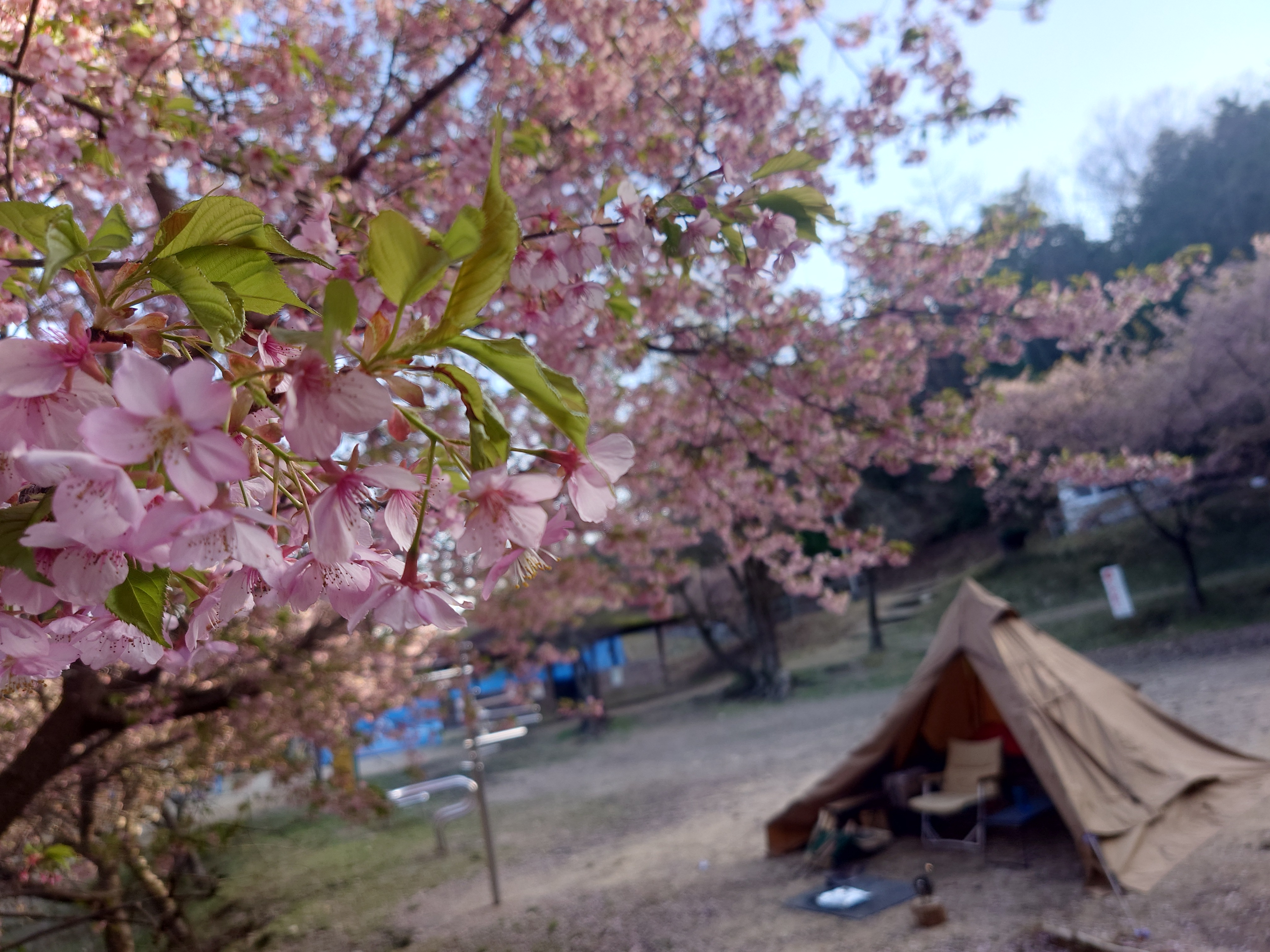 背景画像